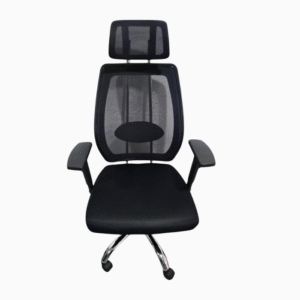 Ergonomic Executive Office Chair