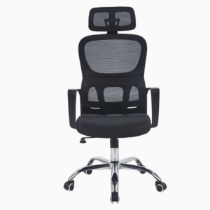Eargonomic Office Chair