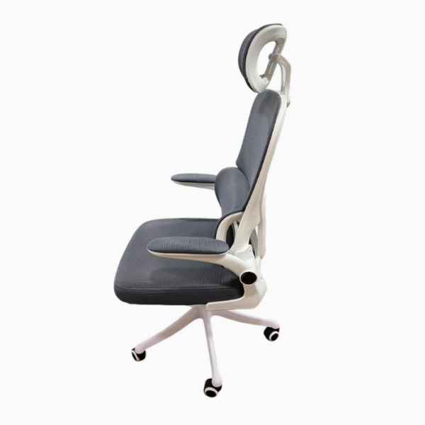 Eargonomic Office Chair - Image 3