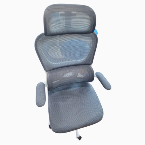 Eargonomic Office Chair - Image 4