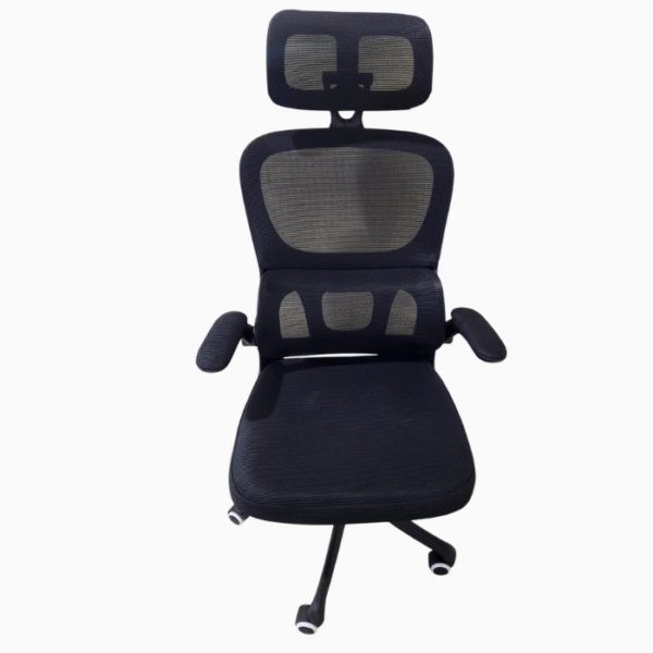 Eargonomic Office Chair - Image 7
