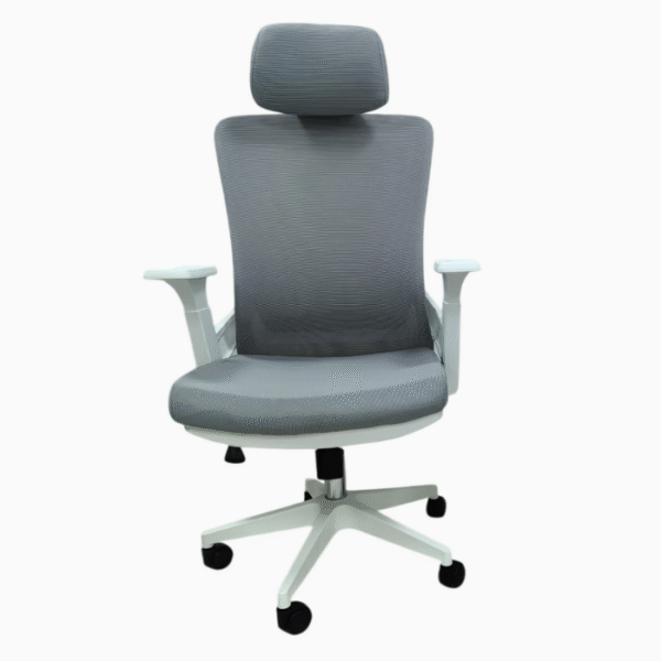 Ergonomic Executive Office Chair