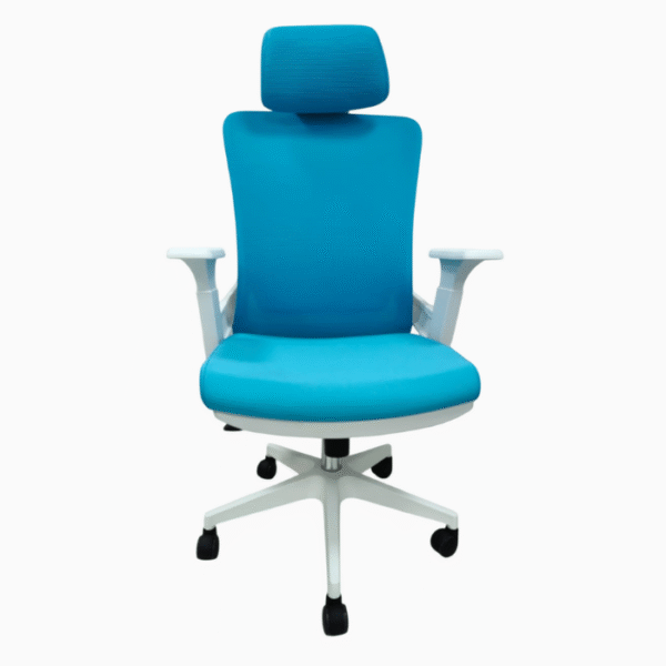 Ergonomic Executive Office Chair - Image 5