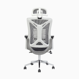 Ergonomic Office Chair