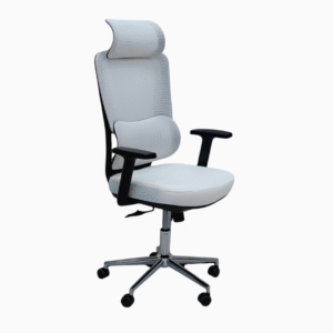 Ergonomic Office Chair